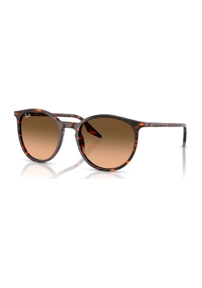 Ray-ban Güneş Gözlüğü Rb2204 54 14293b
