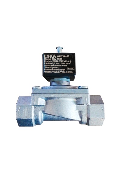 Doğalgaz Gaz Valfi 1 İnç Selonoid Vana