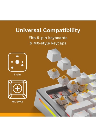 Mx Panda Tactile Yağlanmış 36 Adet Switch