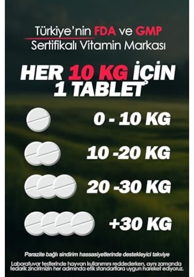 Kedi İçin%100 İç Bitkisel Parazit Tableti Ve Hapı 2 Tablet Bağırsak Sağlığı & Sindirim Desteği