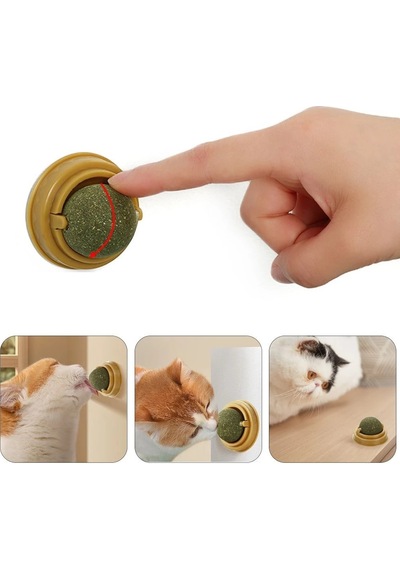 Duvara Yapışan Dönen Kedi Nanesi Cat Mint Oyun Topu Doğal Catnipli Kedi Oyuncağı-9046448558711