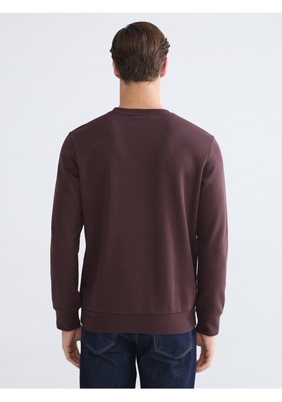 Lcwaıkıkı Classic Kahverengi Bisiklet Yaka Baskılı Erkek Kalın Sweatshirt