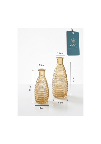 Chacha Home Luxury Elara 2 'li Minimalist İthal Dekor Cam Vazo Bal