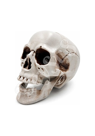 Halloween İskelet Kafa Beyaz Büyük 15 Cm Tüm Yaşlar