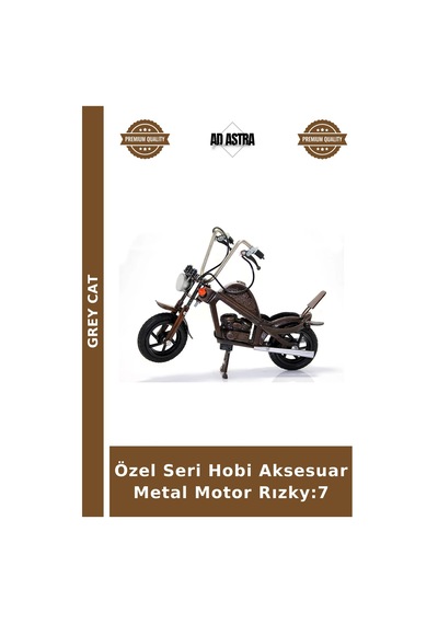Özel Seri Hobi Aksesuar Metal Motor Rızky:7