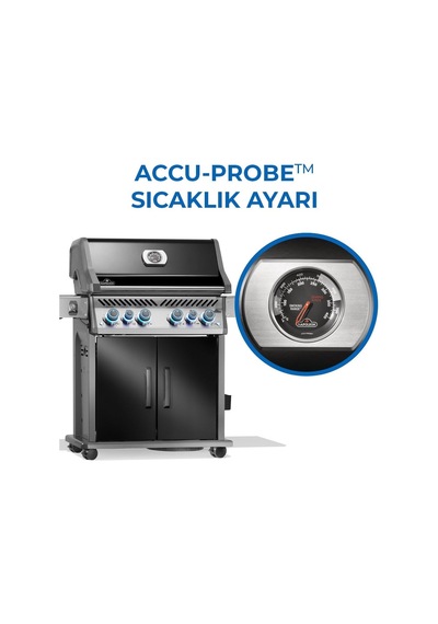 Rogue Pro S 525 Rsıb Gazlı Mangal Siyah
