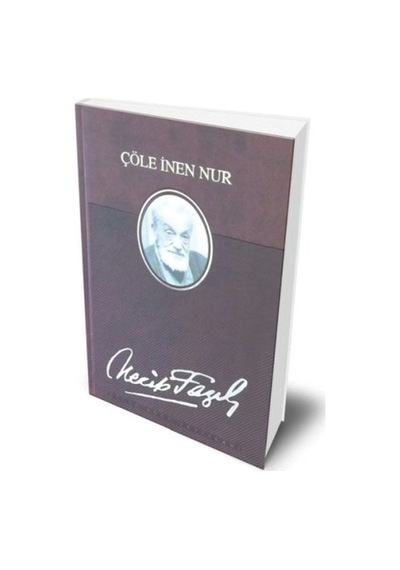Çöle İnen Nur Deri Ciltli