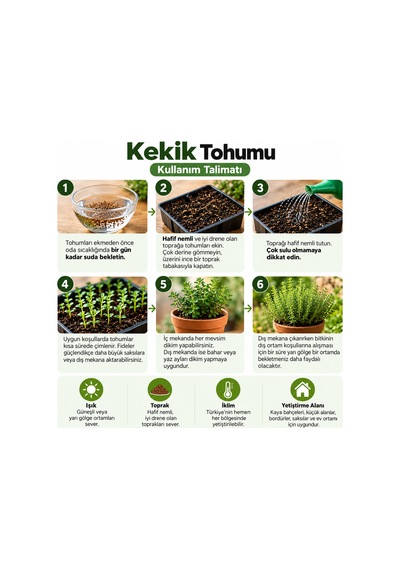 Sunagri Kekik Tohumu Saksı Bahçe Balkon Aromatik Bitki Yetiştiriciliği 40 Adet