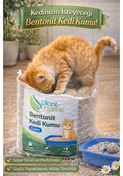 Bentonit Kedi Kumu 2 Li Set 10 Litre 2 5 L Parfümsüz, Kolay Temizlik
