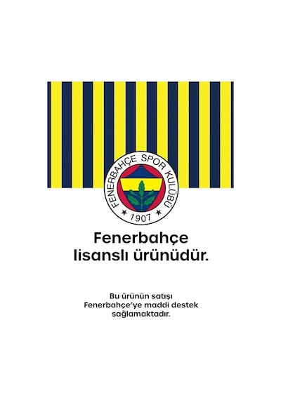 Fenerbahçe Orijinal Lisanslı Kalemlik Lacivert Çift Gözlü Kalem Kutusu Gri