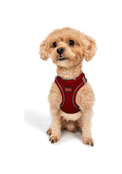 Tailpetz Air-mesh Küçük Ve Orta Irk Kedi Köpek Göğüs Tasması - Yumuşak, Nefes Alabilir, Dayanıklı Kırmızı, 3xs Sku: Zeusb0828yvxrq Açık Bej - Bej Tailpetz Air-mesh Küçük Ve Orta Irk Kedi Köpek Göğüs Tasması - Yumuşak, Nefes Alabilir, Dayanıklı Kırmızı, 3xs Sku: Zeusb0828yvxrq Açık Bej - Bej