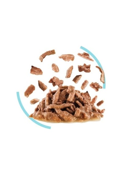 Royal Canin Sensory Feel Gravy 85 Grx12 Adet Kedi Konservesi