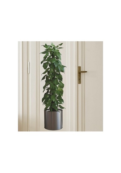 Saksılı Bitki Tasarımlı Yapışkanlı Sticker Resim 90 30 Cm Şeffaf