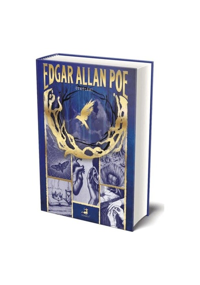 Edgar Allan Poe Öyküleri - Aıaı-893026