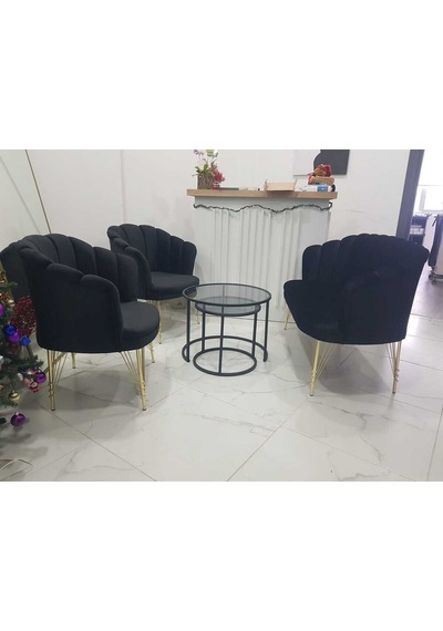 Garden House Siyah Kumaş Metal Gold Ayaklı Papatya Çay Seti Koltuk Takımı Bekleme- Ofis Koltuk Takımı Siyah Garden House Siyah Kumaş Metal Gold Ayaklı Papatya Çay Seti Koltuk Takımı Bekleme- Ofis Koltuk Takımı Siyah