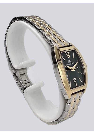 Momentus Cw310t-15sg Kadın Kol Saati