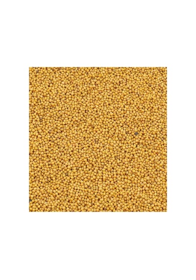 Hardal Sarı 300g