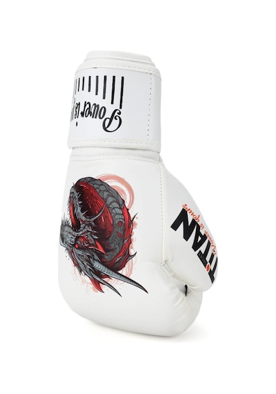Titan Sport Ejderha Desenli Set Fgr Model-10 Boks Eldiveni Çok Renkli
