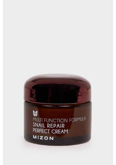 Defacto Mizon Snail Repair Perfect Cream Salyangoz Özlü Nemlendirici Yüz Kremi 50 ml H3448AXNS