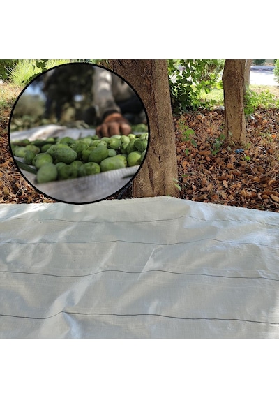 5x4 Metre Zeytin Sergeni Zeytin Toplama Örtüsü Fındık Fıstık Dut Toplama Filesi Beyaz Hasat Taban Örtüsü
