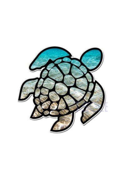 Kaplumbağa Plaj Okyanus Araba Sticker