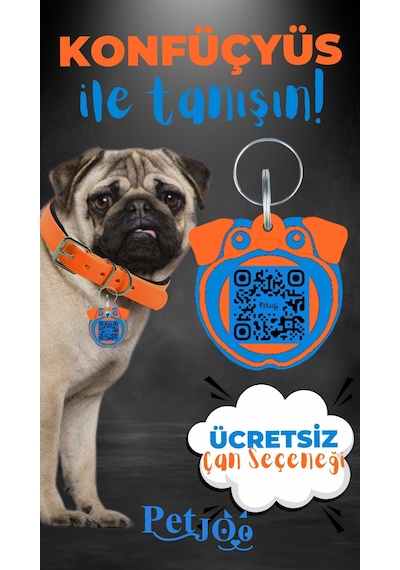 Petjoo 9.Konfüçyüs Mavi-Turuncu Qr'lı Köpek Künyesi