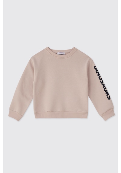 Panço Erkek Bebek Taş Sweatshirt 2521bb08037 Gri