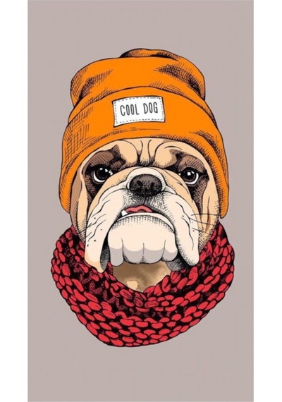 Buffalo Bandana Cool Dog Siyah