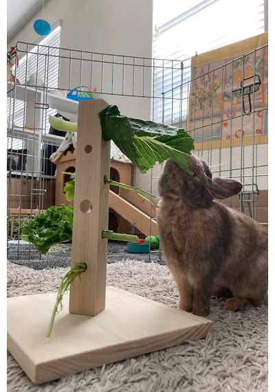 Bunny Tree Ahşap Tavşan Foraging Oyuncağı, Doğal Çam, Zihinsel Uyarım