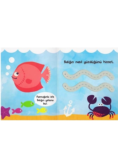 İzle ve Hisset-Hayvanlar ve Çizgiler- Çiçek Yayıncılık
