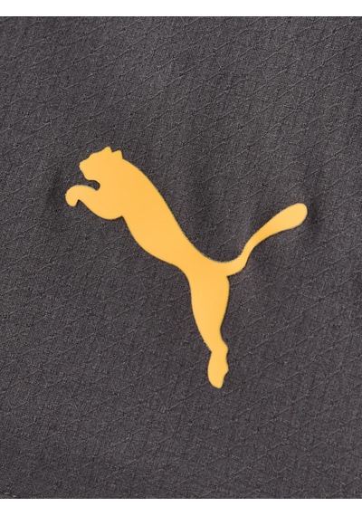 Gsstore Galatasaray Puma 2026/2027 Deplasman Profesyonel Şort 78502105 Antrasit