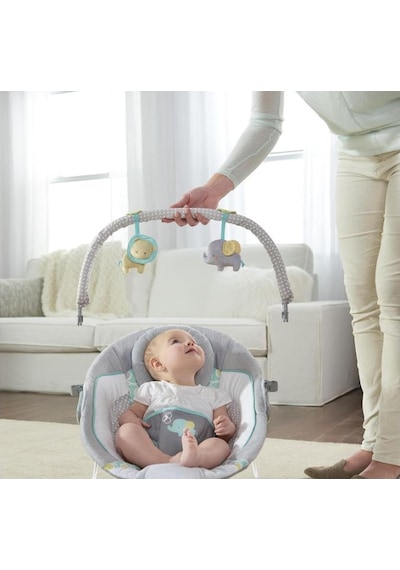 Ingenuity Titreşimli, Oyuncak Barlı Ve Sesli, 0-6 Ay Ana Kucağı