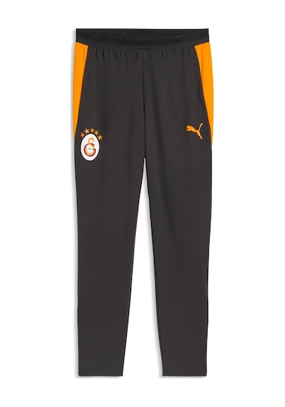 Puma Galatasaray Erkek Antrenman Eşofman Altı 786814 06 Gri
