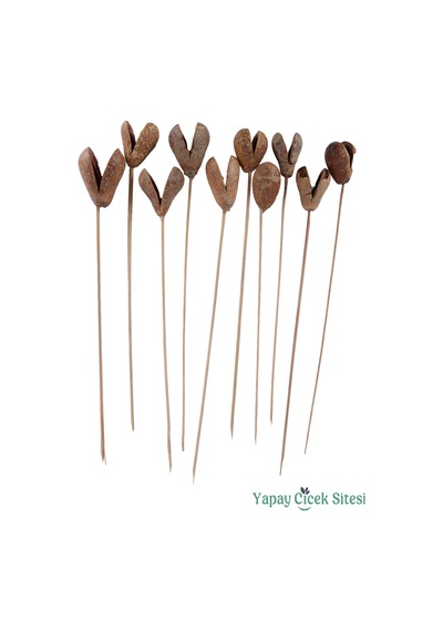 Yapay Çiçek Sitesi Kuru Çiçek Bell Cup Meyve 30 Cm 10lu Naturel