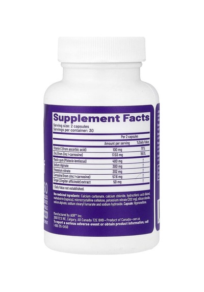 Advanced Orthomolecular Research Aor, Gastro Relief, 60 Capsules