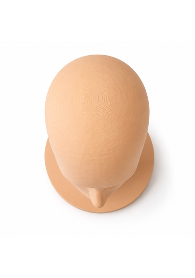 3d Baskı Manken Kafası 25 Cm Dekoratif Büst Peruk, Şapka Ve Aksesuar Standı Modern Tasarım 25cm