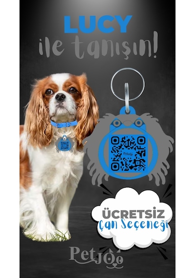 Petjoo 11.Lucy Gri-Mavi Qr'lı Köpek Künyesi