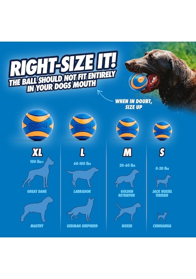 Chuckit Ultra Squeaker Sesli Oyun Topu Xl - Köpekler İçin Dayanıklı, Yüksek Zıplama Kabiliye