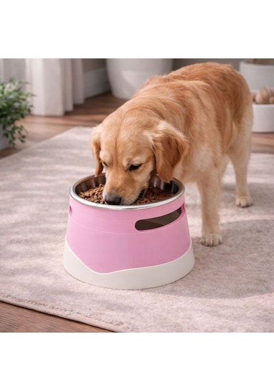 İsime Özel Yükseltilmiş Köpek Mama Kabı Paslanmaz Çelik Hazne, Ergonomik Tasarım