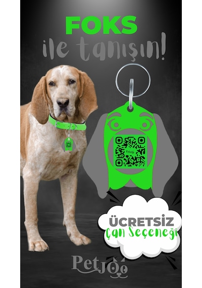 Petjoo 29.Foks Gri-Yeşil Qr'lı Köpek Künyesi