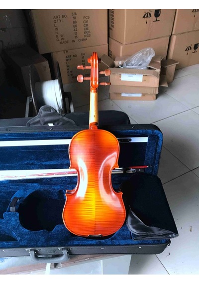 Pagannini Vg200-H Kare Kutulu Gül Aksamlı Tam Boy Keman Seti