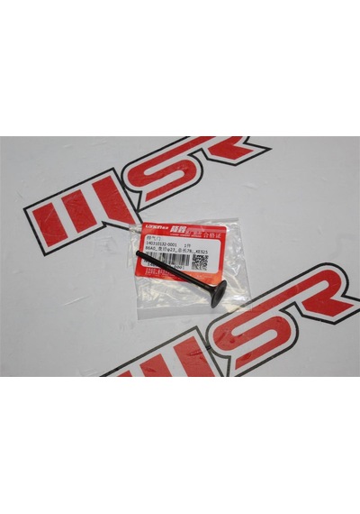 Voge 525r-525d-525dsx-525rr - 525acx - Egzos Subap Loncın A