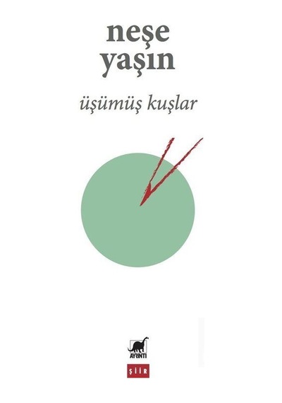 Üşümüş Kuşlar - Neşe Yaşın - Ayrıntı Yayınları