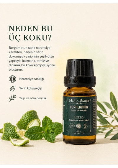 Minia Bahçe Odaklanma Focus Uçucu Yağ Karışımı Bergamot Nane ve Nioli Yağları 10 ML