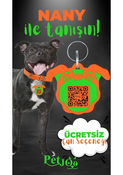 Petjoo 17.Nany Yeşil-Turuncu Qr'lı Köpek Künyesi