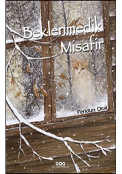 Beklenmedik  Misafir