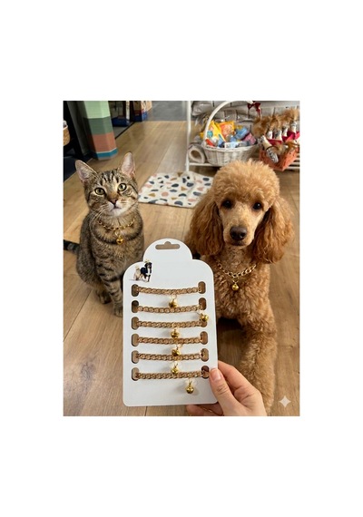 Rose Zincir Şık Ve Kaliteli Kedi Köpek Boyun Kolyesi