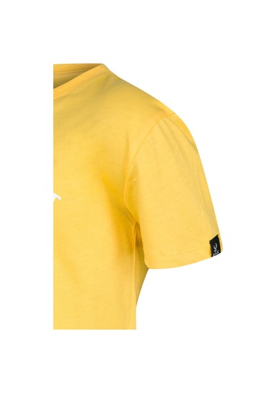 2as Aja Çocuk Baskılı T-shirt 212 Sarı