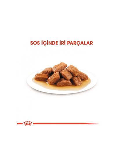 Royal Canin Medium Adult Orta Irk Yetişkin Köpek Yaş Maması 10 x 140 G