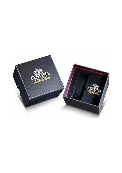 Festına F20641/a Chrono Bıke Erkek Kol Saati Gümüş